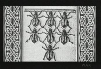 Bees : Formation