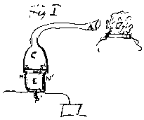 Capsule